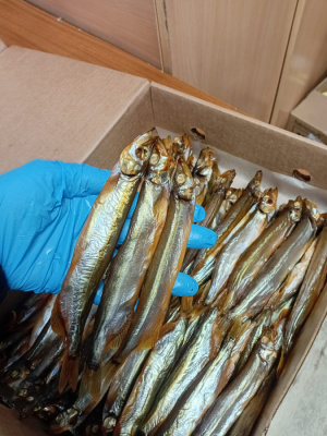 0620c851-b1a3-4c2f-910e-b6741d8d8799